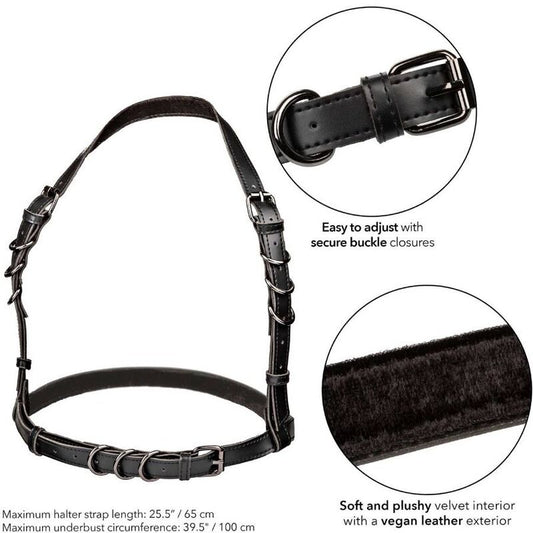 CALEXOTICS - EUPHORIA HALTER BUCKLE HARNESS BLACK - Kink&Play