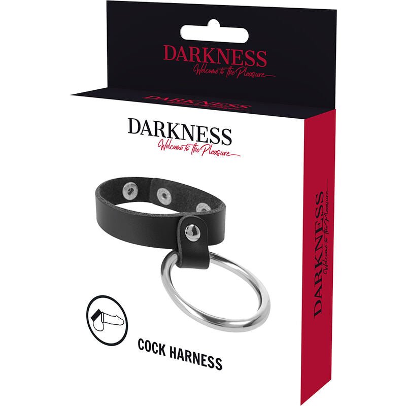 DARKNESS - METAL RING FOR THE PENIS AND TESTICLES - Kink&Play