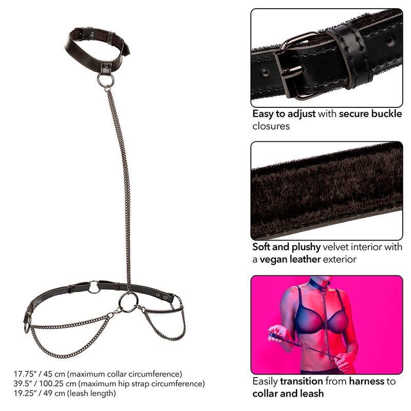 CALEXOTICS - EUPHORIA CHAIN HALTER COLLAR & LEASH - Kink&Play