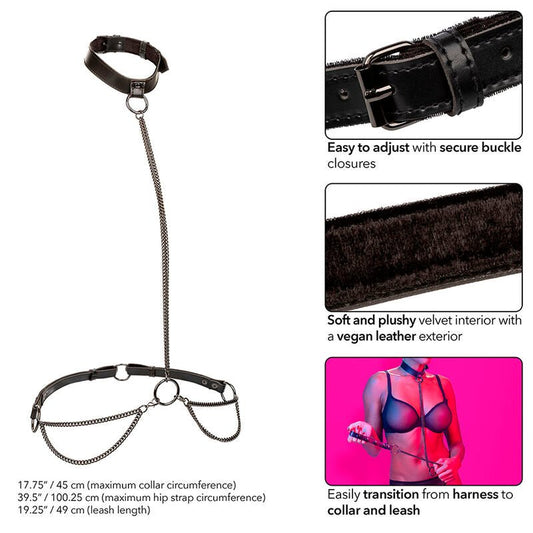 CALEXOTICS - EUPHORIA CHAIN HALTER COLLAR & LEASH - Kink&Play