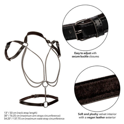 CALEXOTICS - EUPHORIA MULTICHAIN HALTER HARNESS PREMIUM PLUS SIZE - Kink&Play