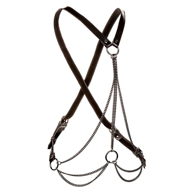 CALEXOTICS - EUPHORIA MULTICHAIN HARNESS PREMIUM PLUS SIZE - Kink&Play