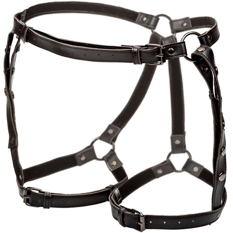 CALEXOTICS - EUPHORIA RIDING THIGH HARNESS - Kink&Play
