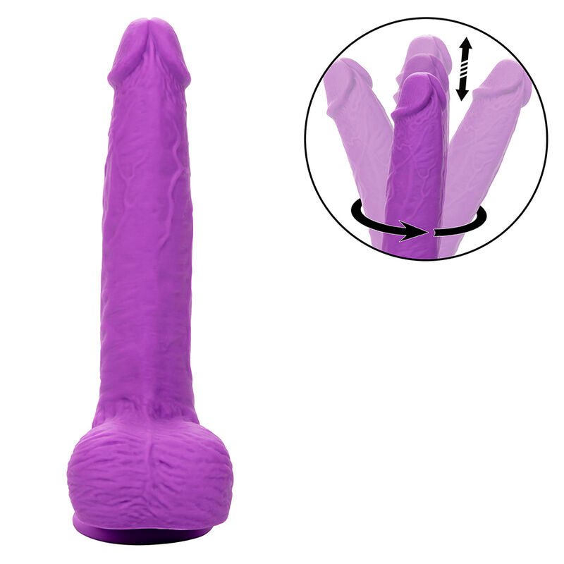 CALEXOTICS - STUDS RECHARGEABLE AND ROTATING VIBRATOR 10 VIBRATIONS PURPLE - Kink&Play