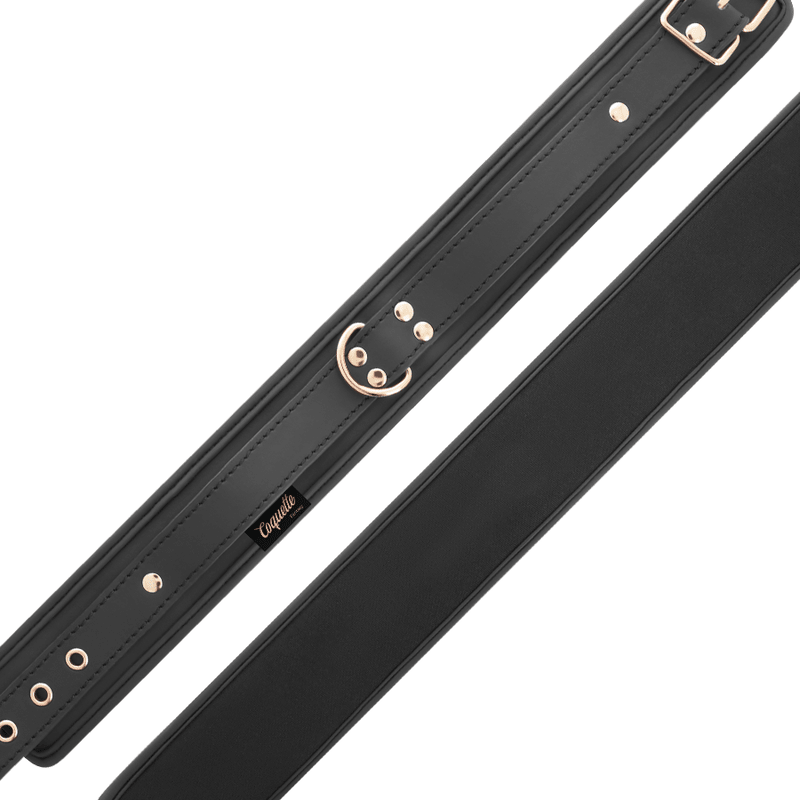 COQUETTE CHIC DESIRE - FANTASY VEGAN LEATHER COLLAR WITH NEOPRENE LINING - Kink&Play