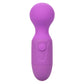 CALEXOTICS - FIRST TIME RECHARGEABLE MASSAGER 10 VIBRATIONS PURPLE