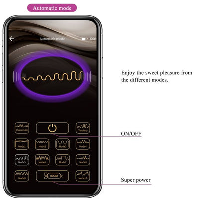 PRETTY LOVE - DOREEN PURPLE RECHARGEABLE VIBRATING EGG - Kink&Play
