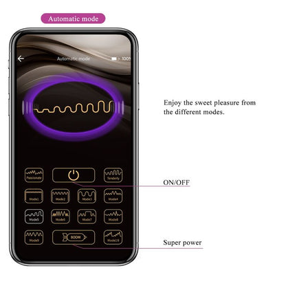 PRETTY LOVE - FISHERMAN APP CONTROLLED VIBRATING EGG LILA - Kink&Play